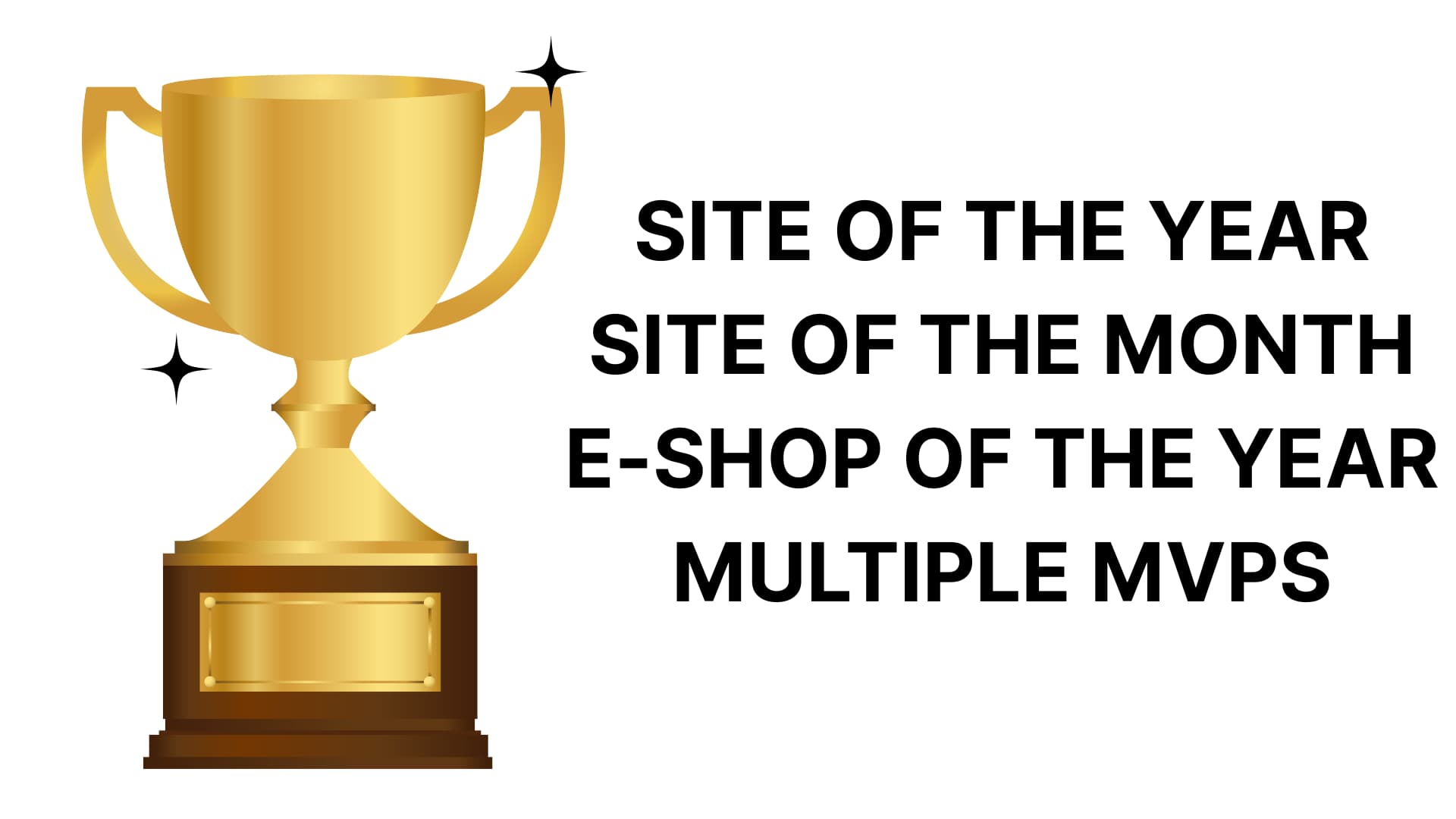Aviva Solutions has received several wonderful awards, including Site of the Year, Site of the Month, E-Shop of the Year, and several MVP titles